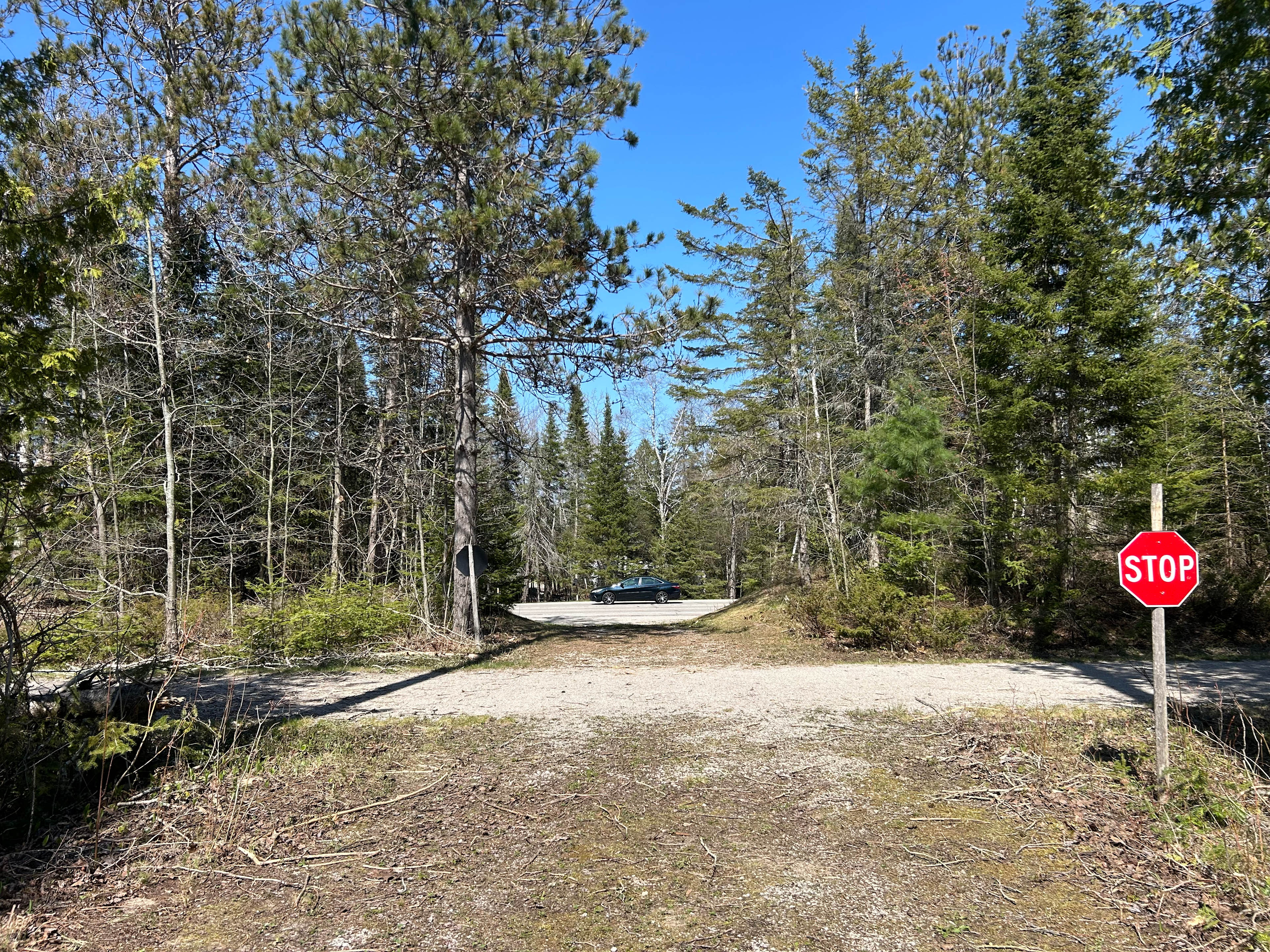 Yoder Woods