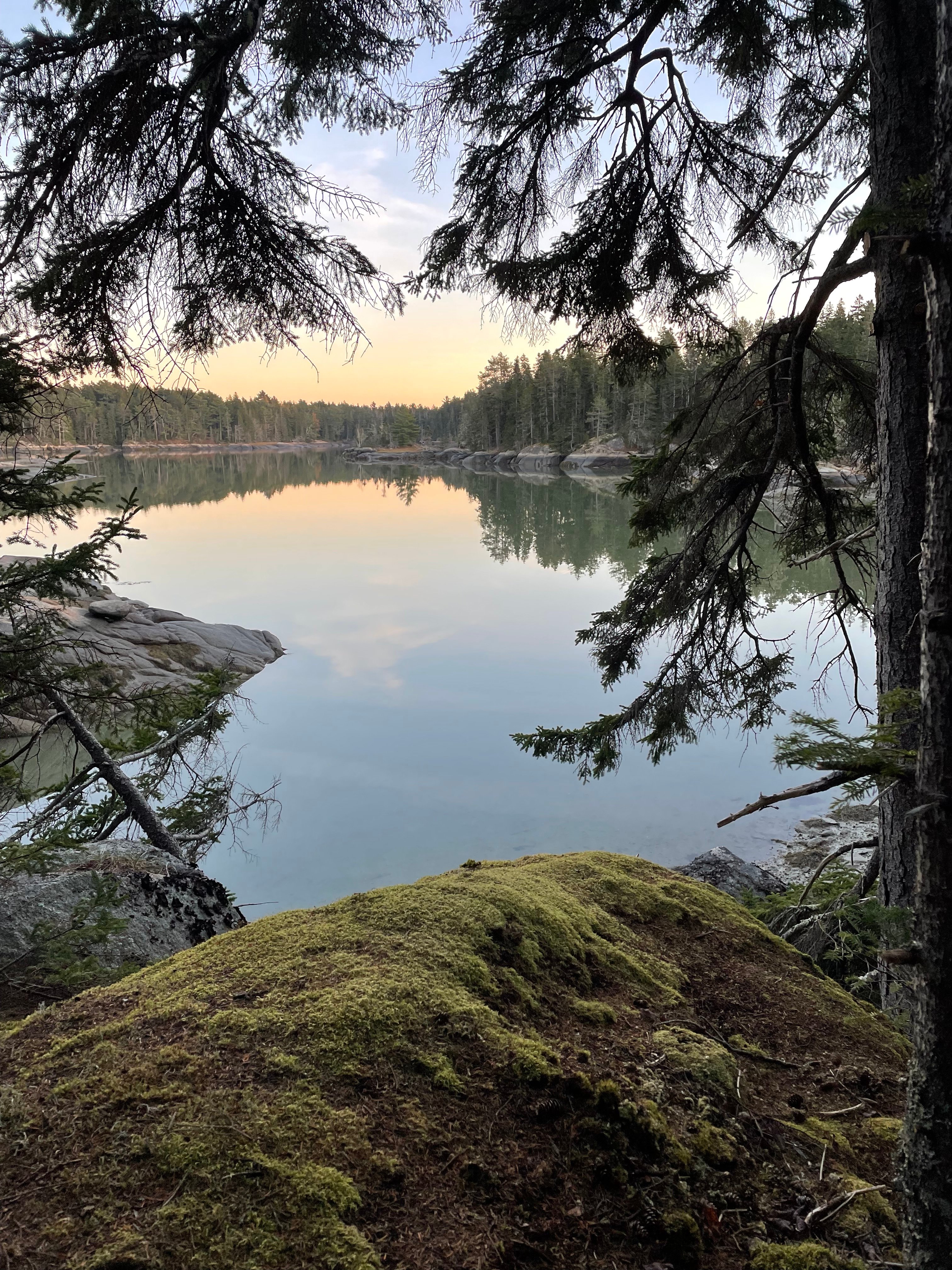Woodhollow Cove