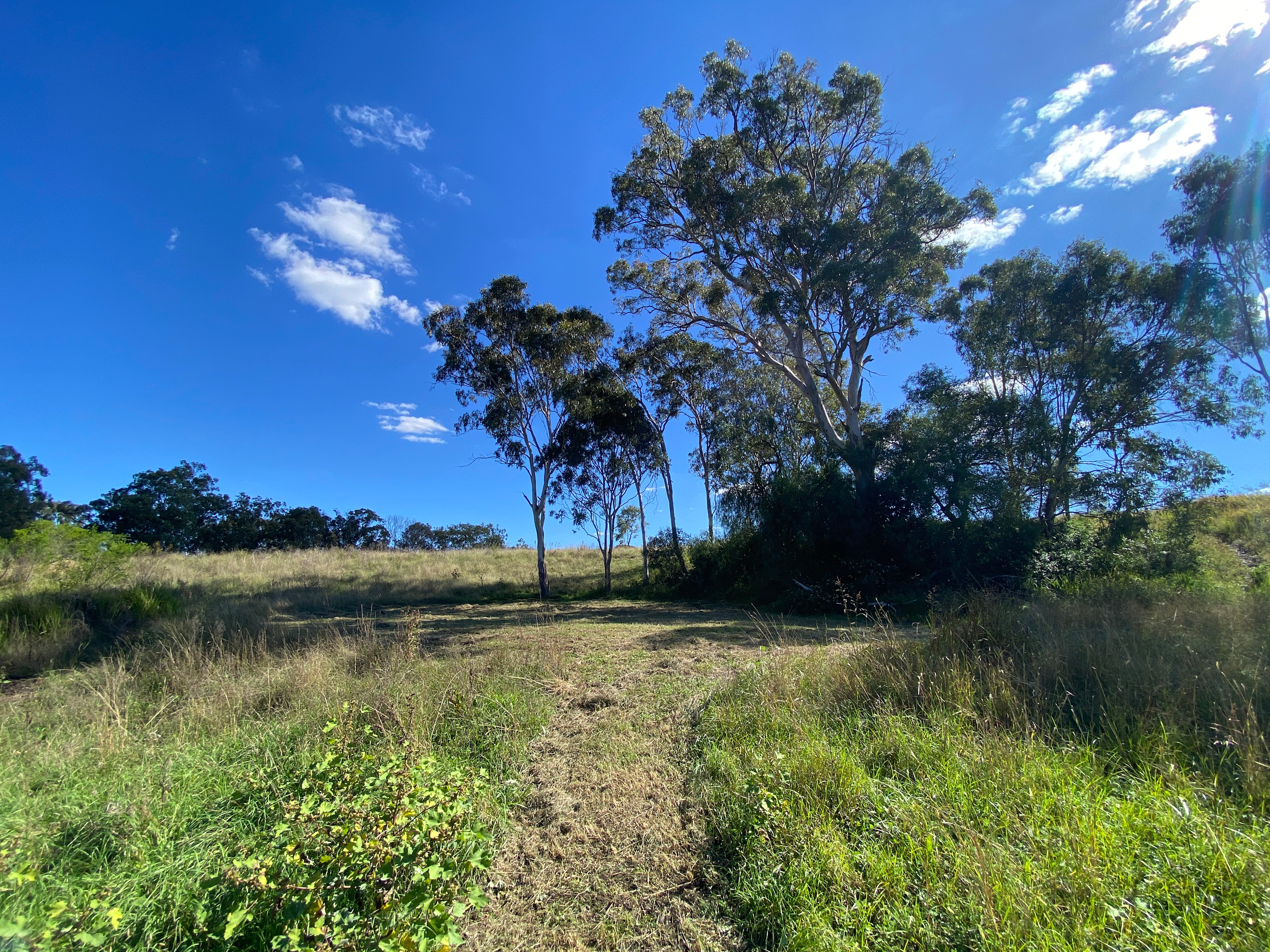 Secluded Creek Camp near Toowoomba