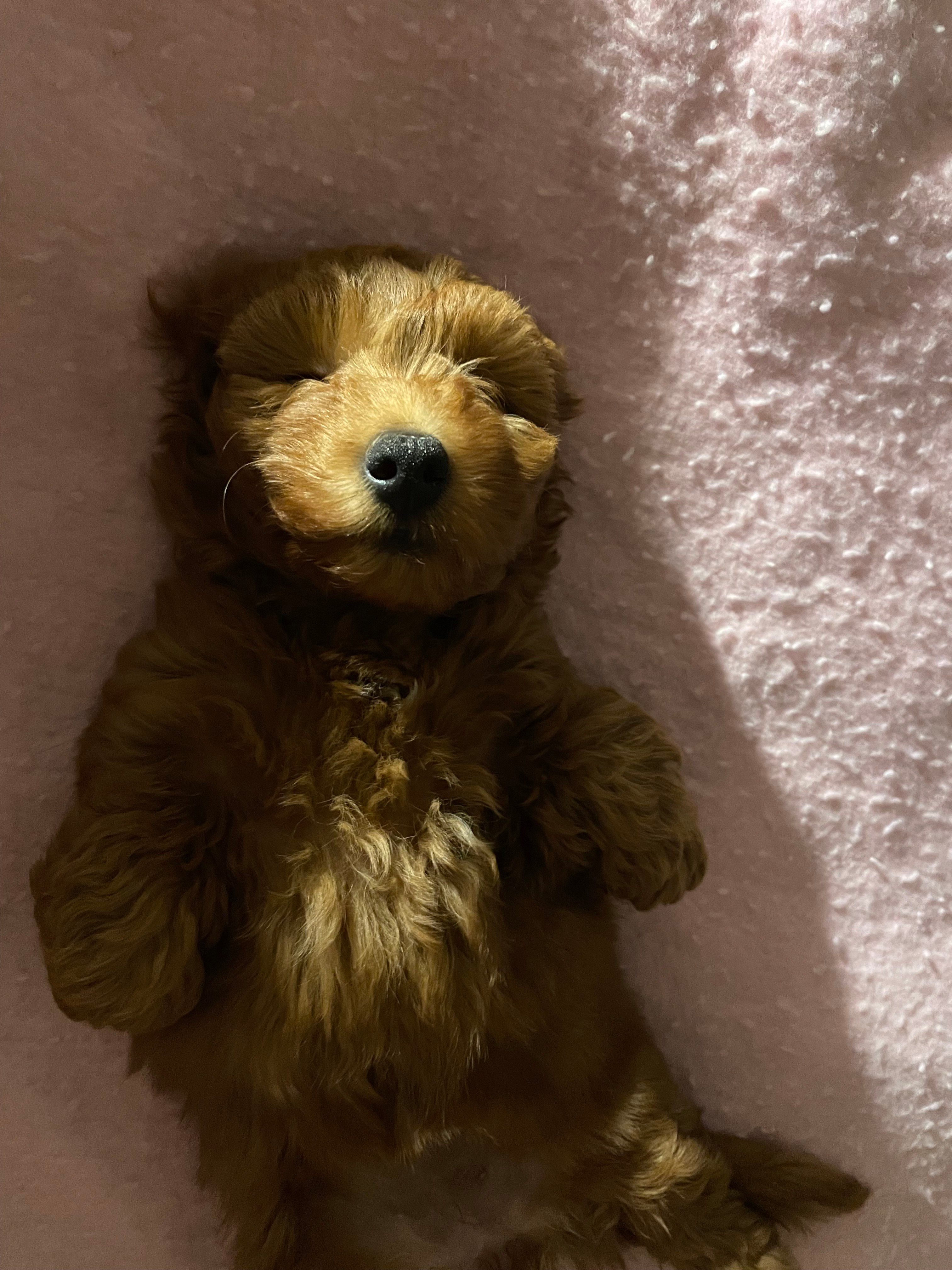 Darling Range Retreat