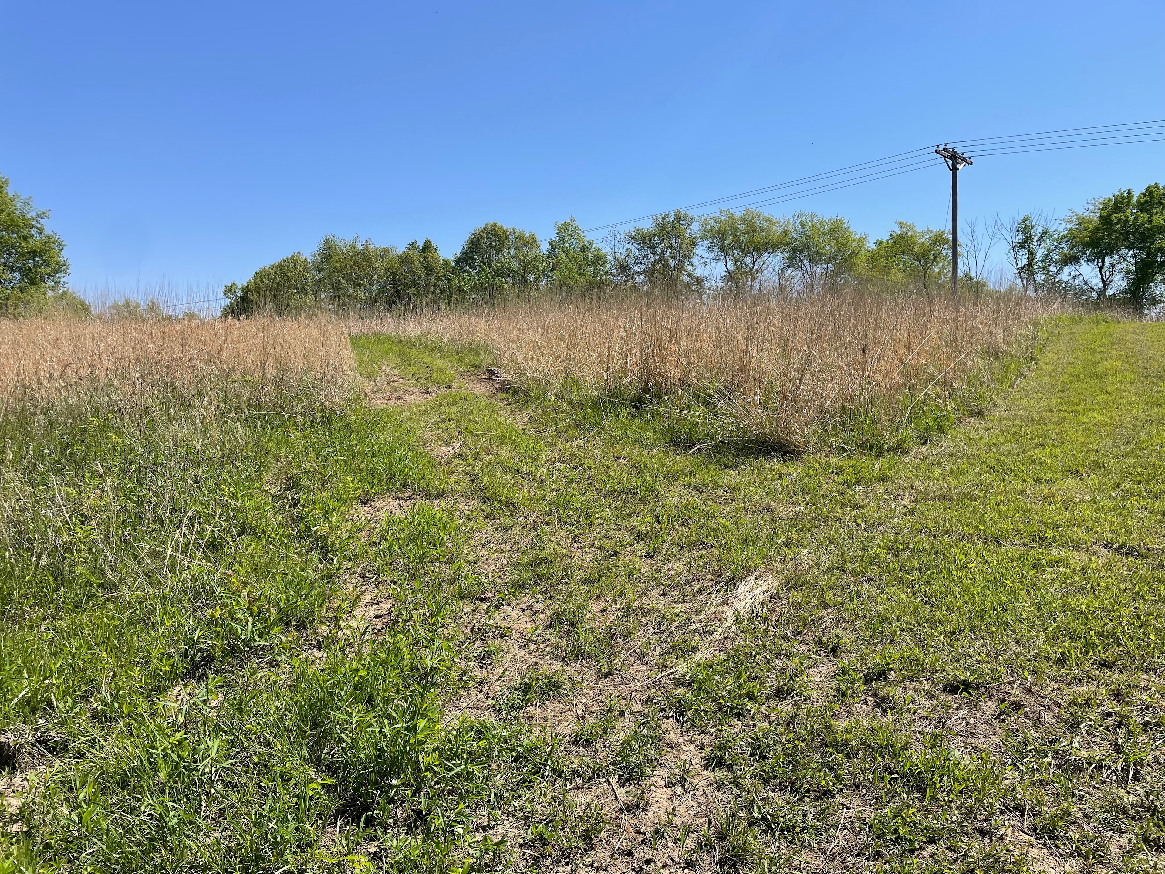 Bell Acres