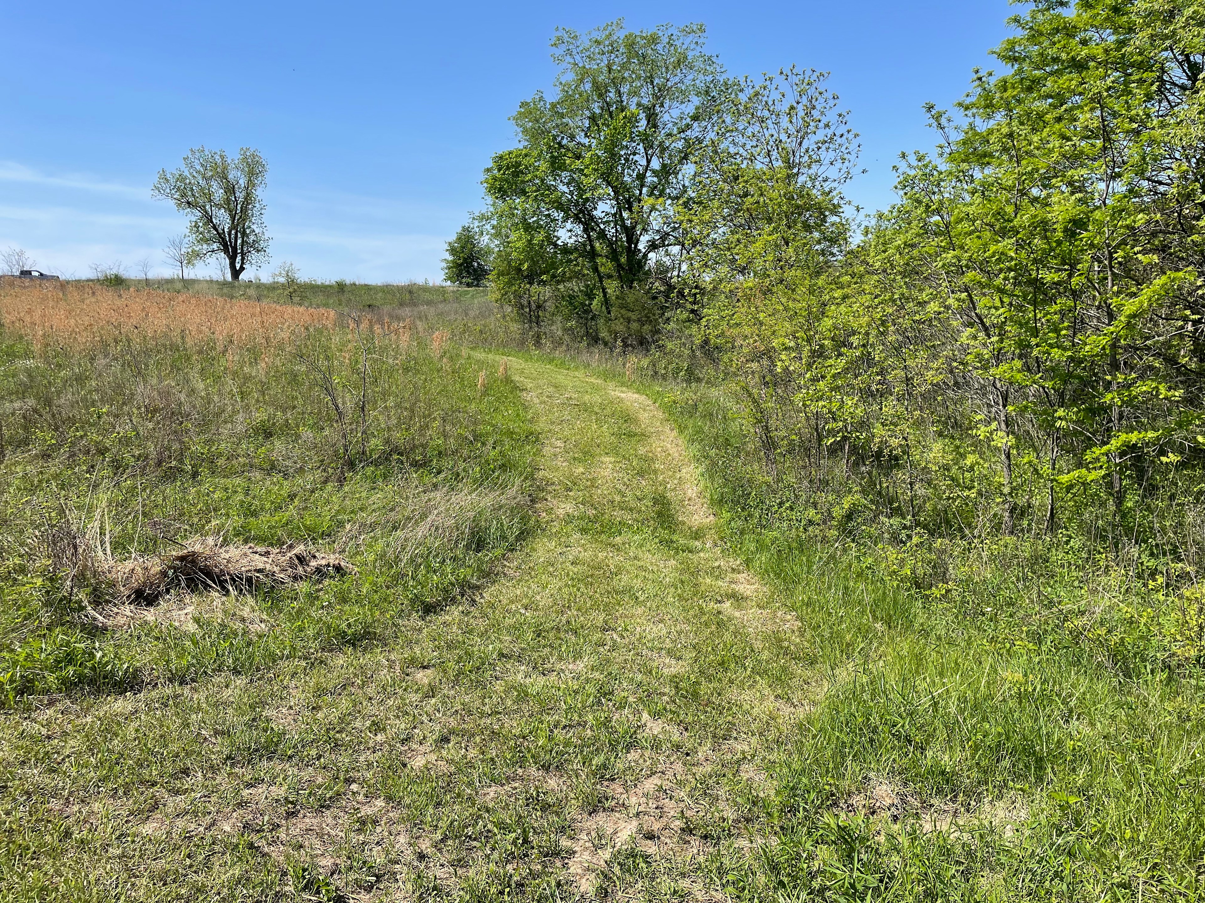 Bell Acres