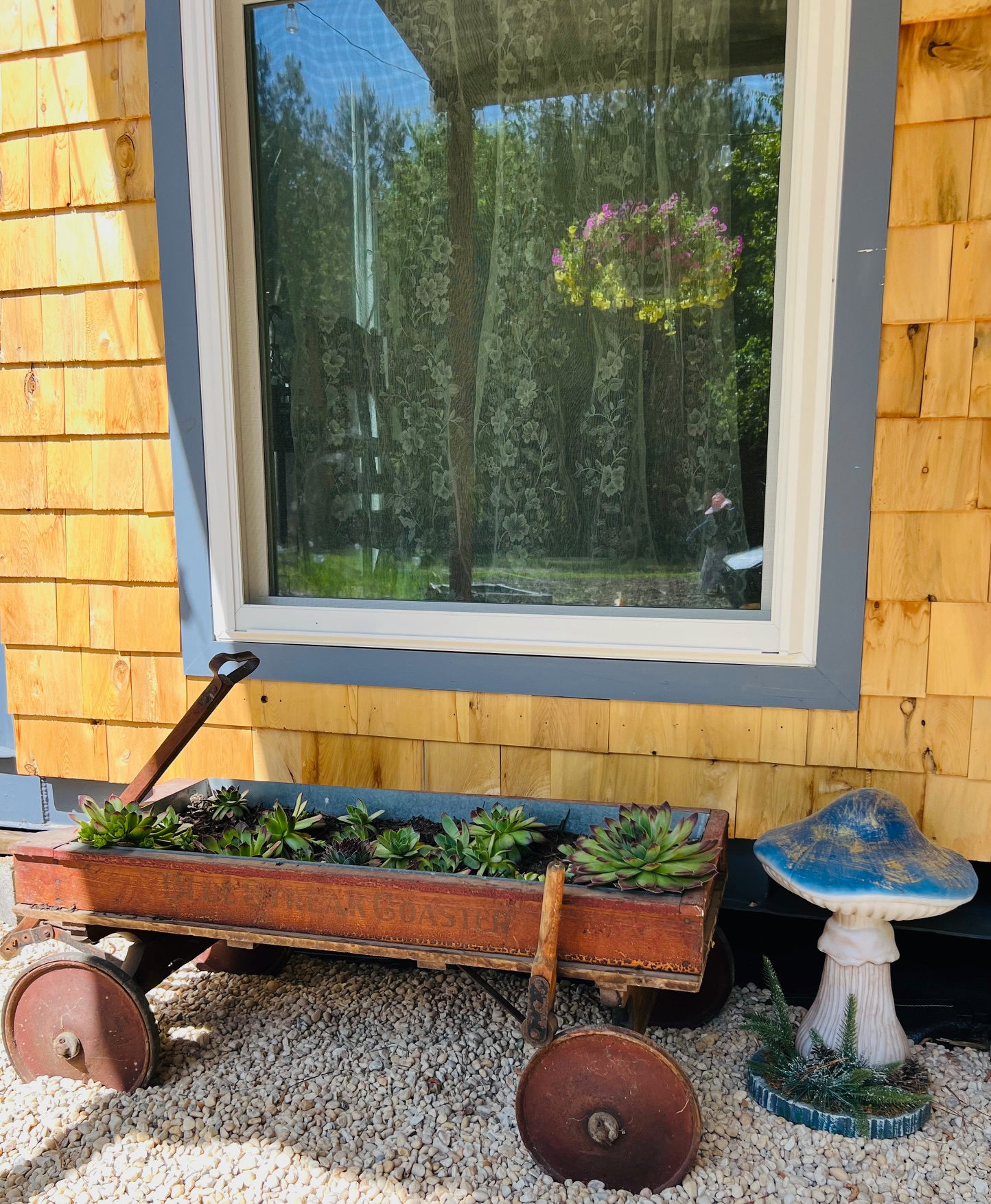 I don't believe that brake handle would stop any human, so we just planted some hens and chicks safely inside this antique wagon. 