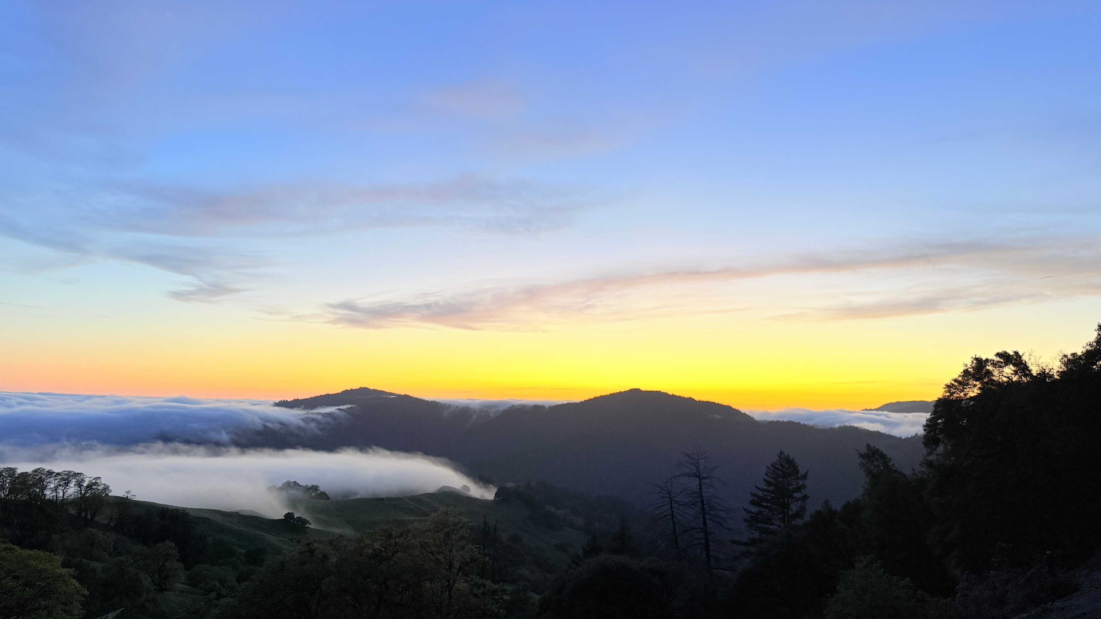 Experience: Bell Springs