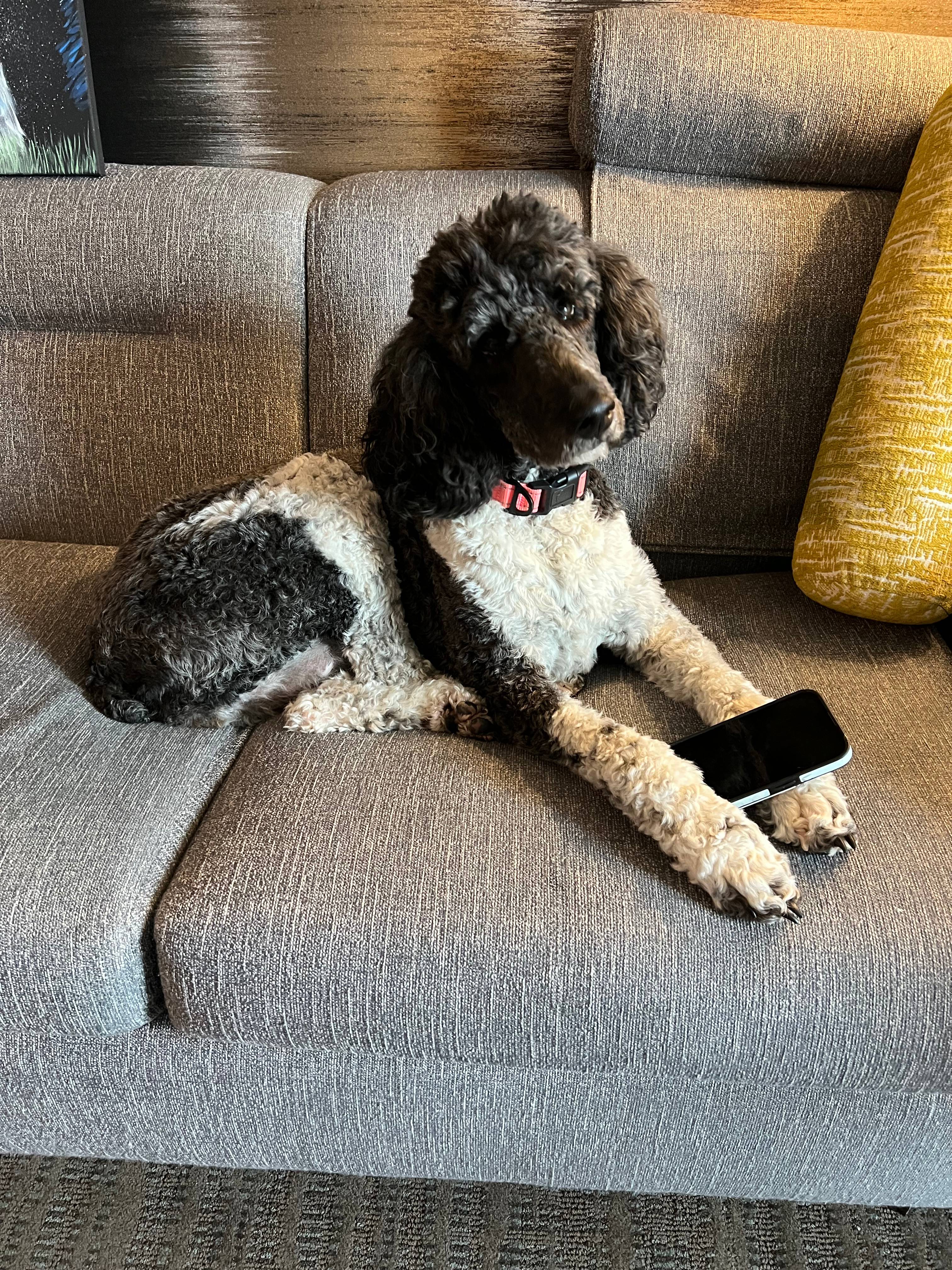 Balloon Fiesta RV Parking Space