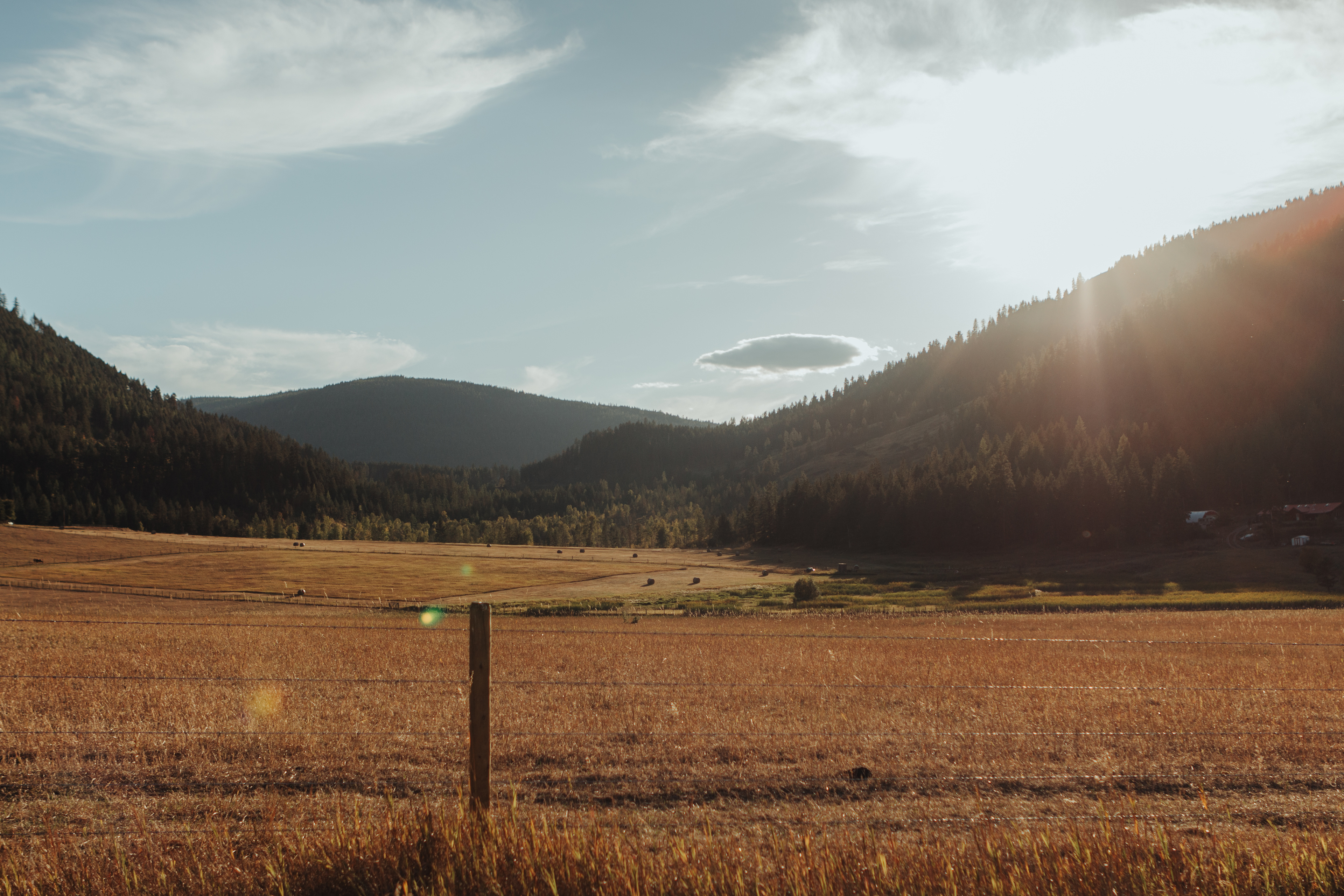 4D Creek Ranch