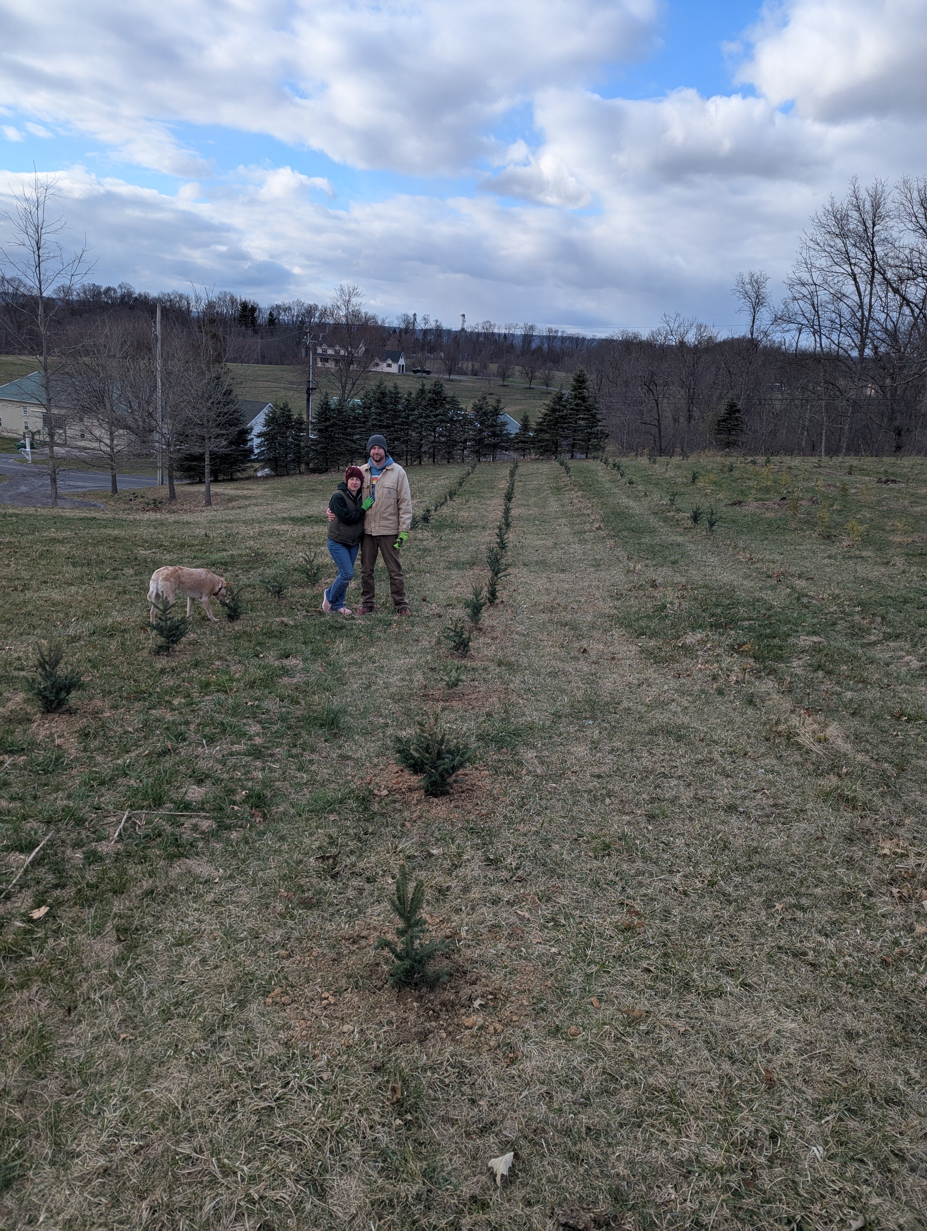 Hickory Hollow Farm And Nursery