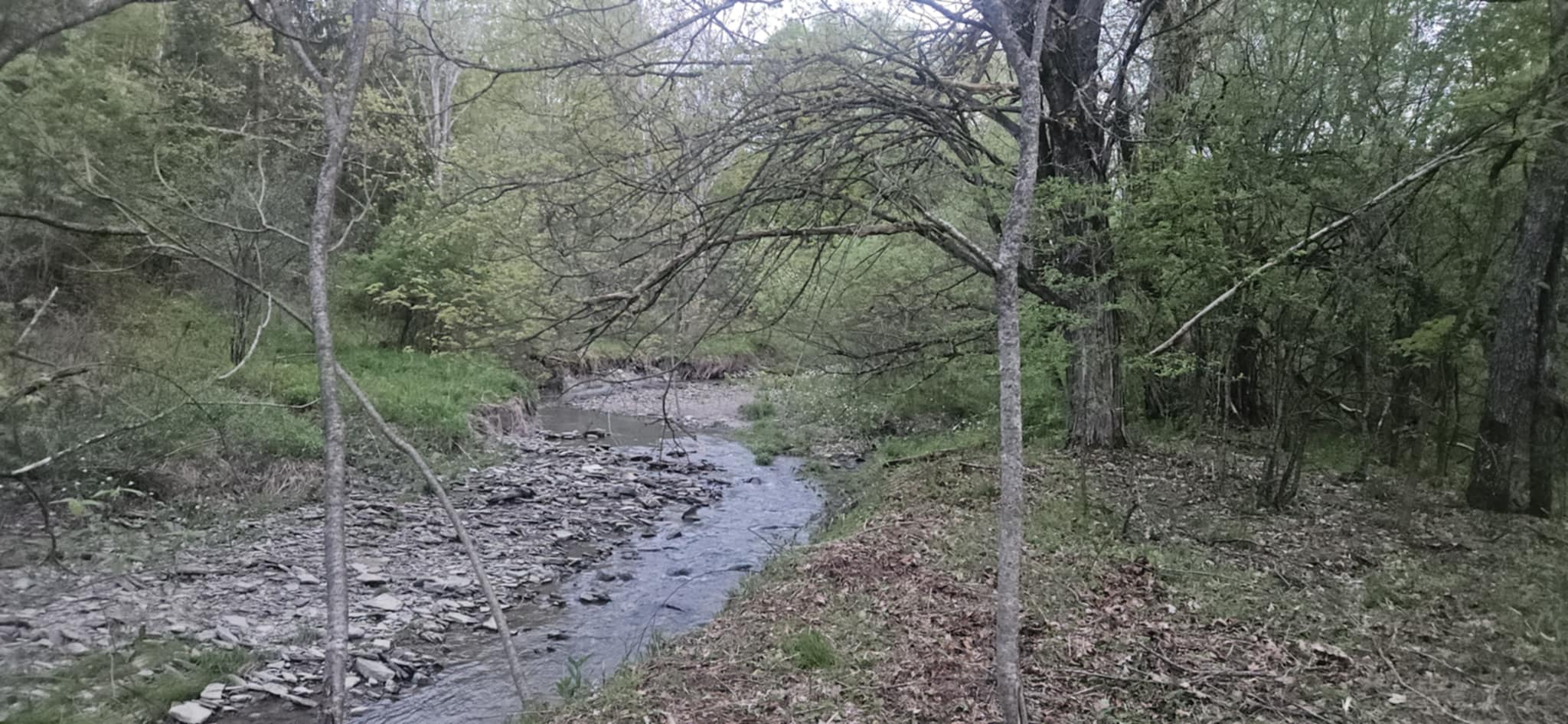 Creek side retreat