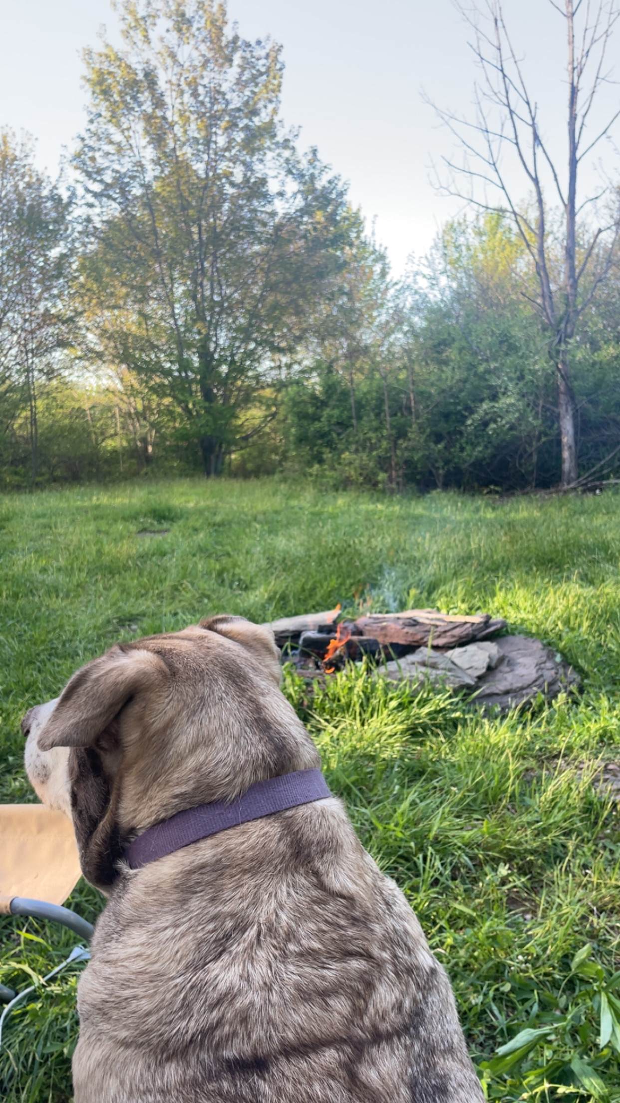 Endless views & star filled nights