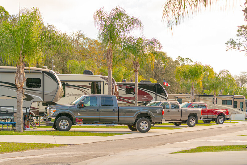 Tampa East