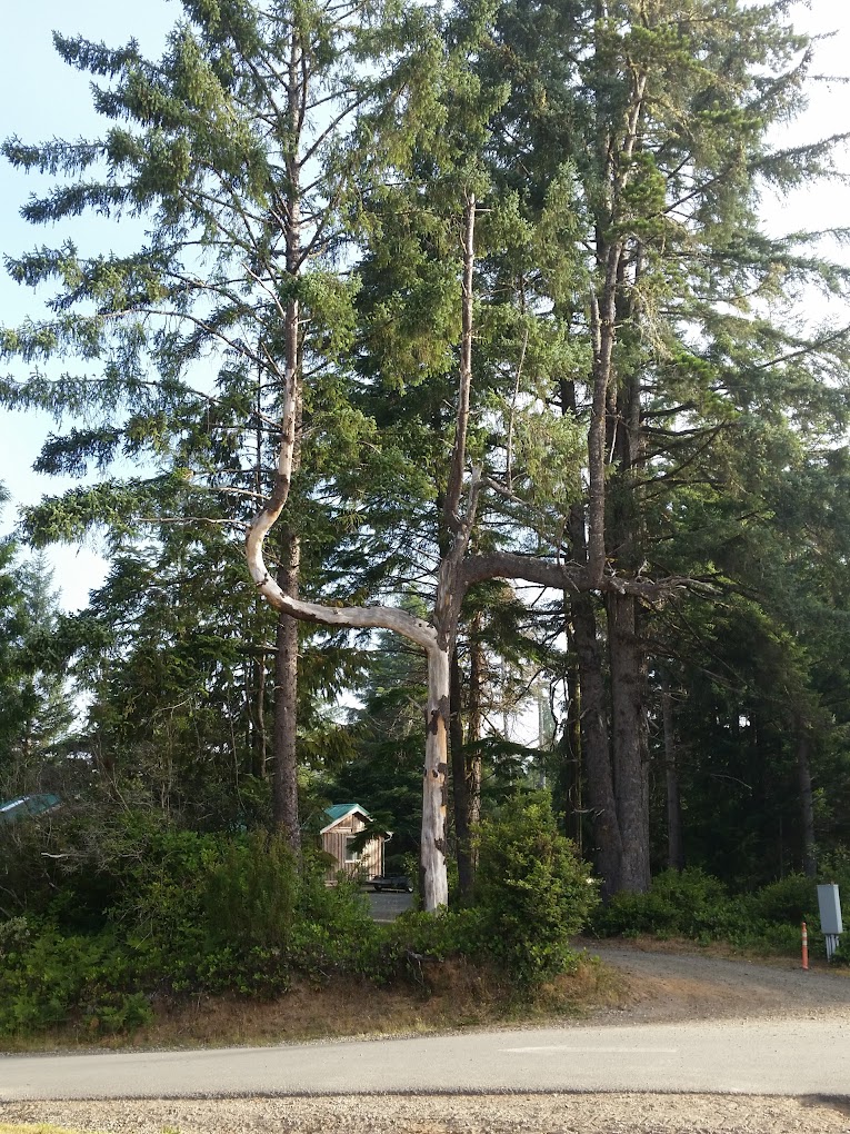 Riley Ranch Campground
