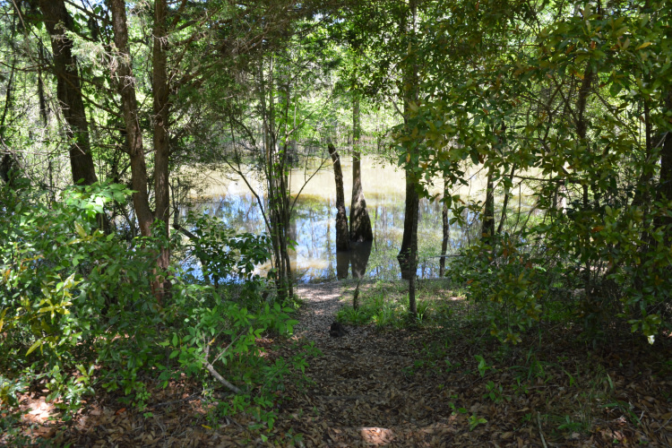 Mystic Springs Cove Inc