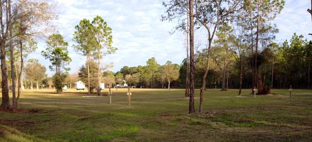Cacklebery Campground at the Cabbage Patch