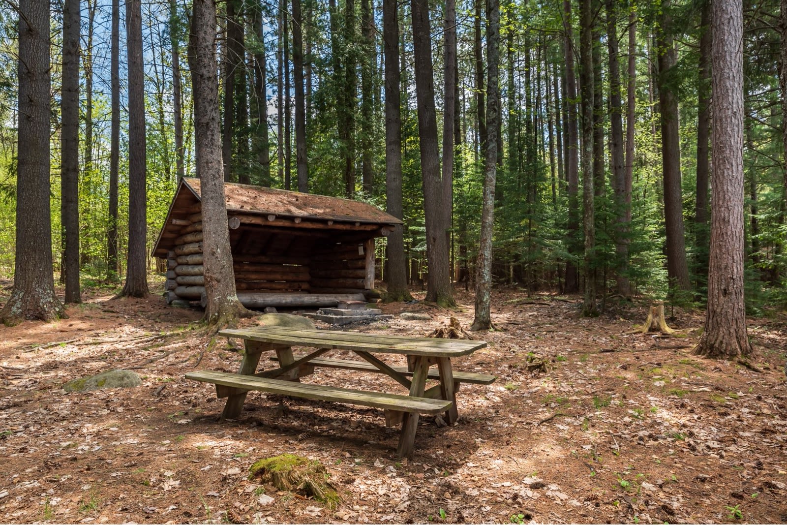 Adirondak Loj & Heart Lake Program Center