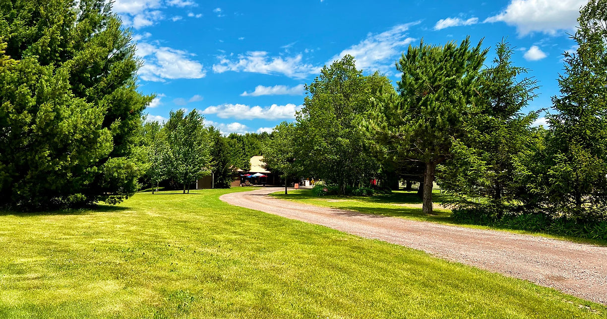 Buck 'n Beam's Social House & Campground