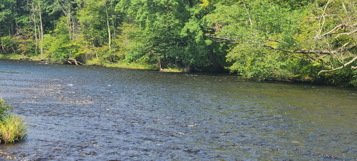 Brown's Campground