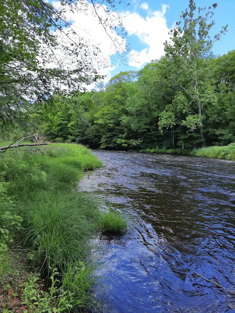 Brown's Campground