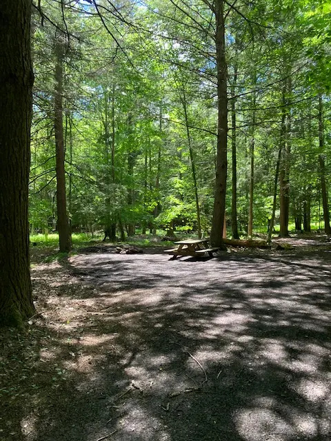 Falling Waters Campground home of Buttermilk Falls