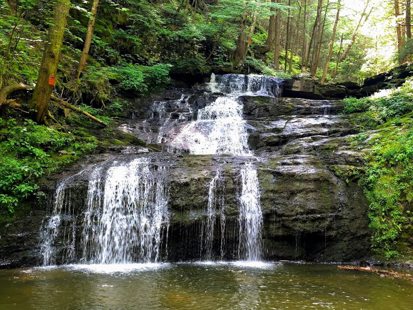 Falling Waters Campground home of Buttermilk Falls