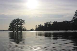 Log Cabin RV Park