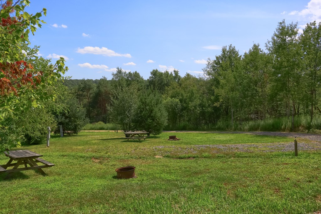 The Forest Lodge & Campground