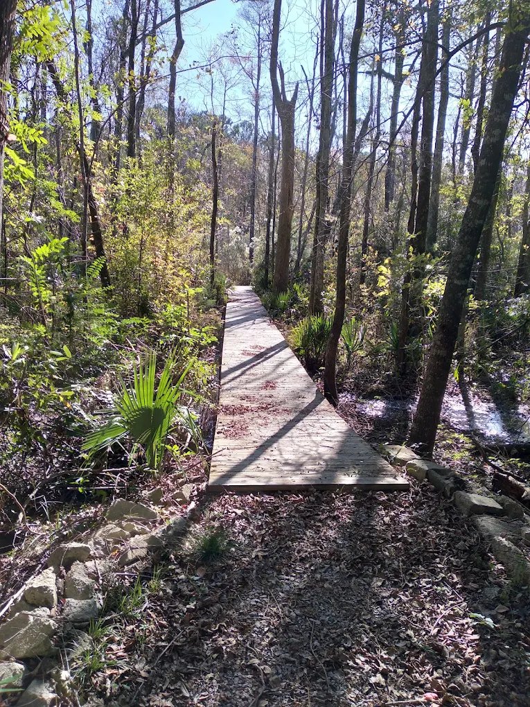 Hawkins Creek Campground