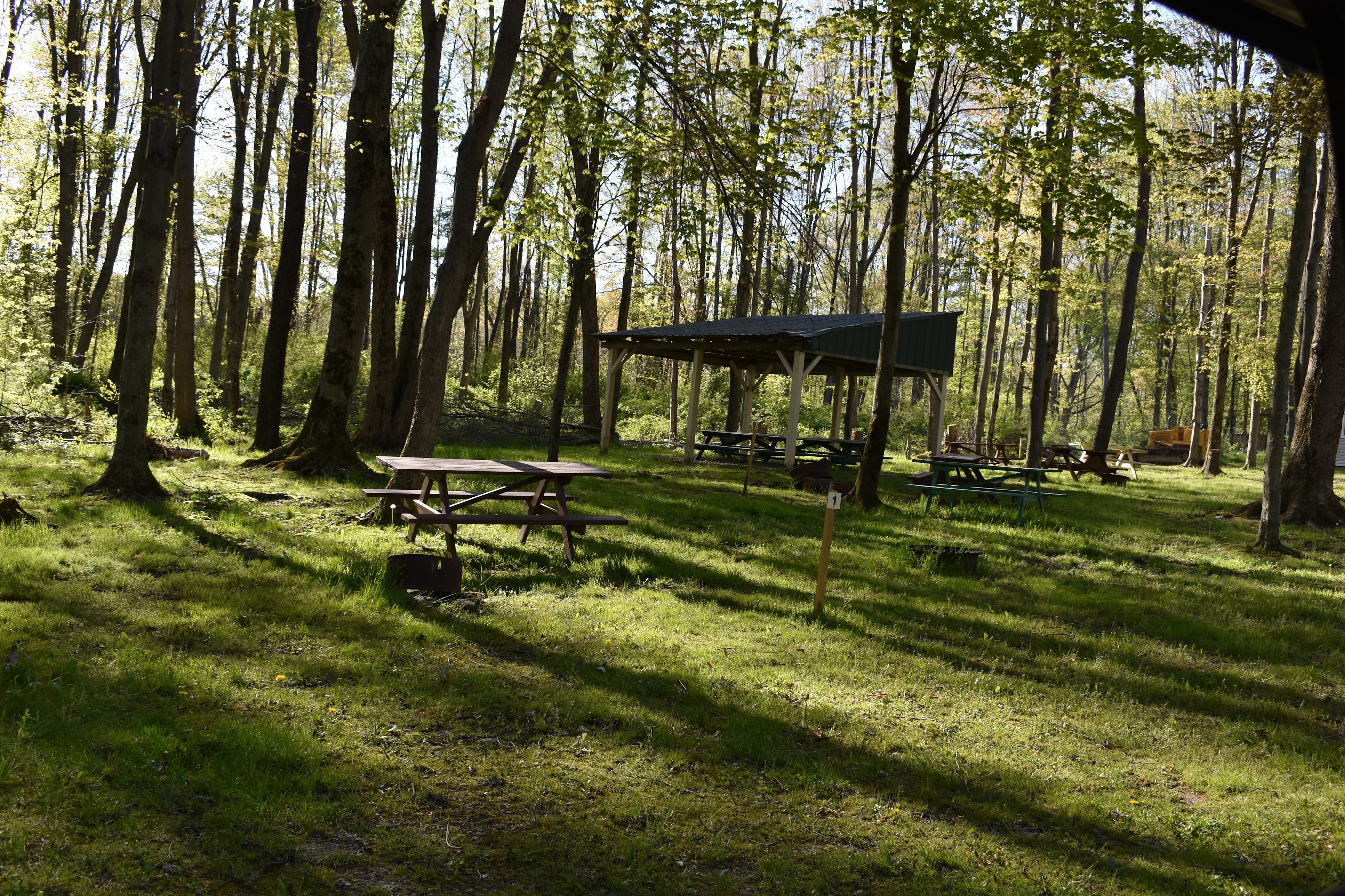 Camp Wilhelm Campground