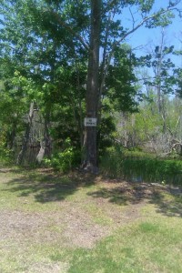 Sandy Point Resort Campgrounds