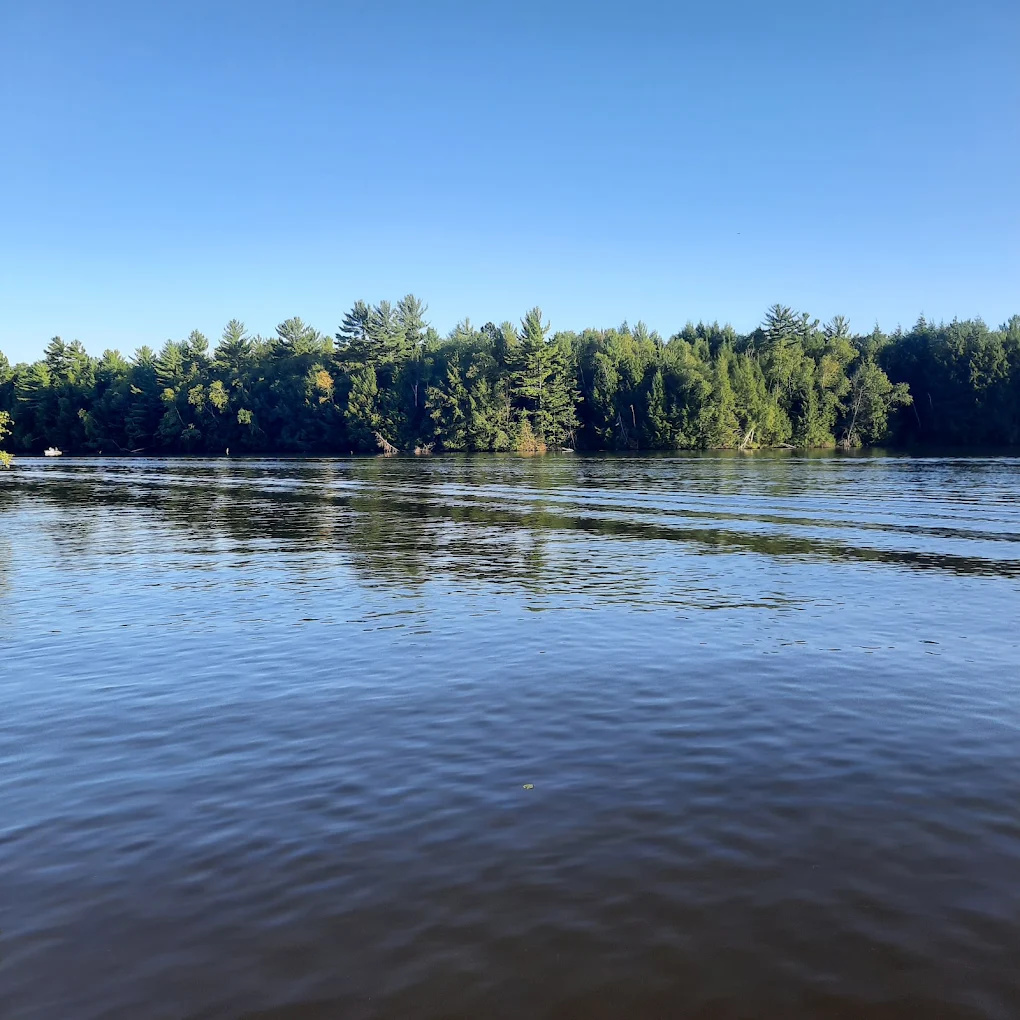 Sure-wood Forest Campground & Pine Pointe Resort