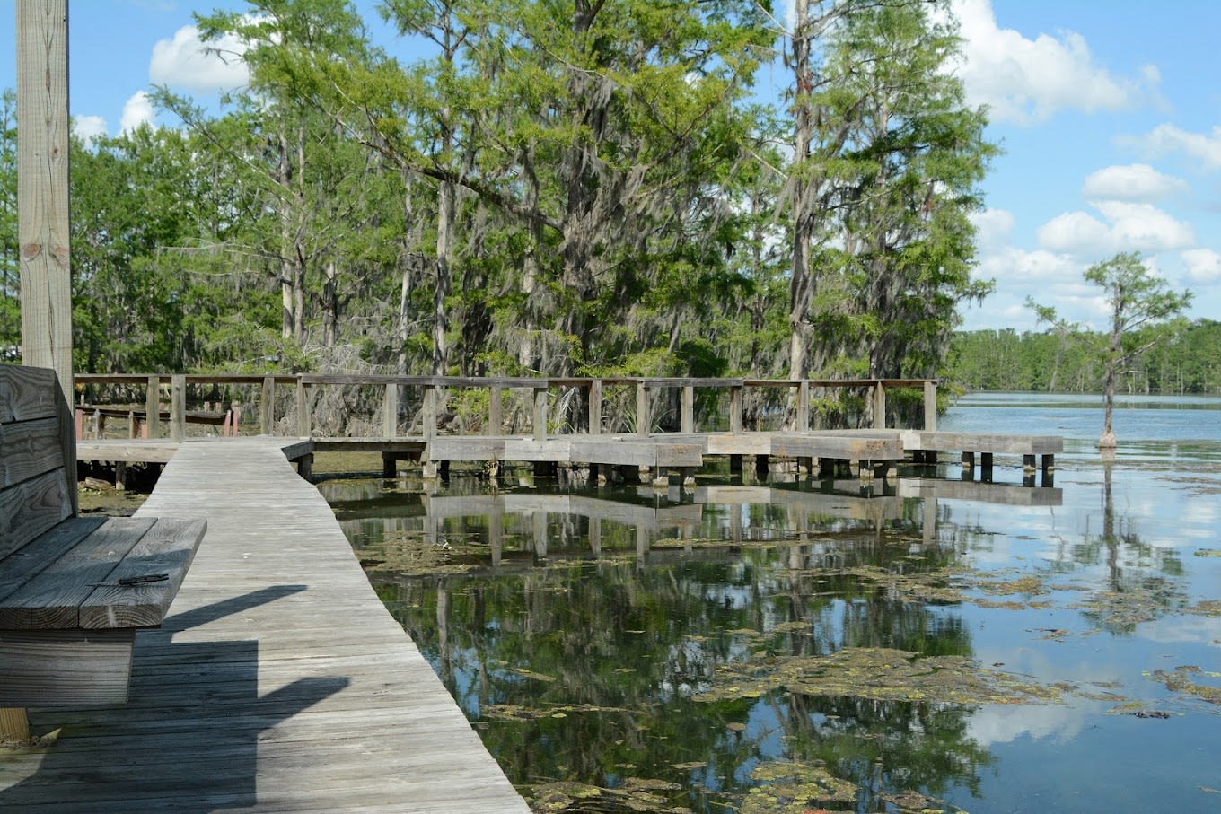 Florida Caverns RV Resort