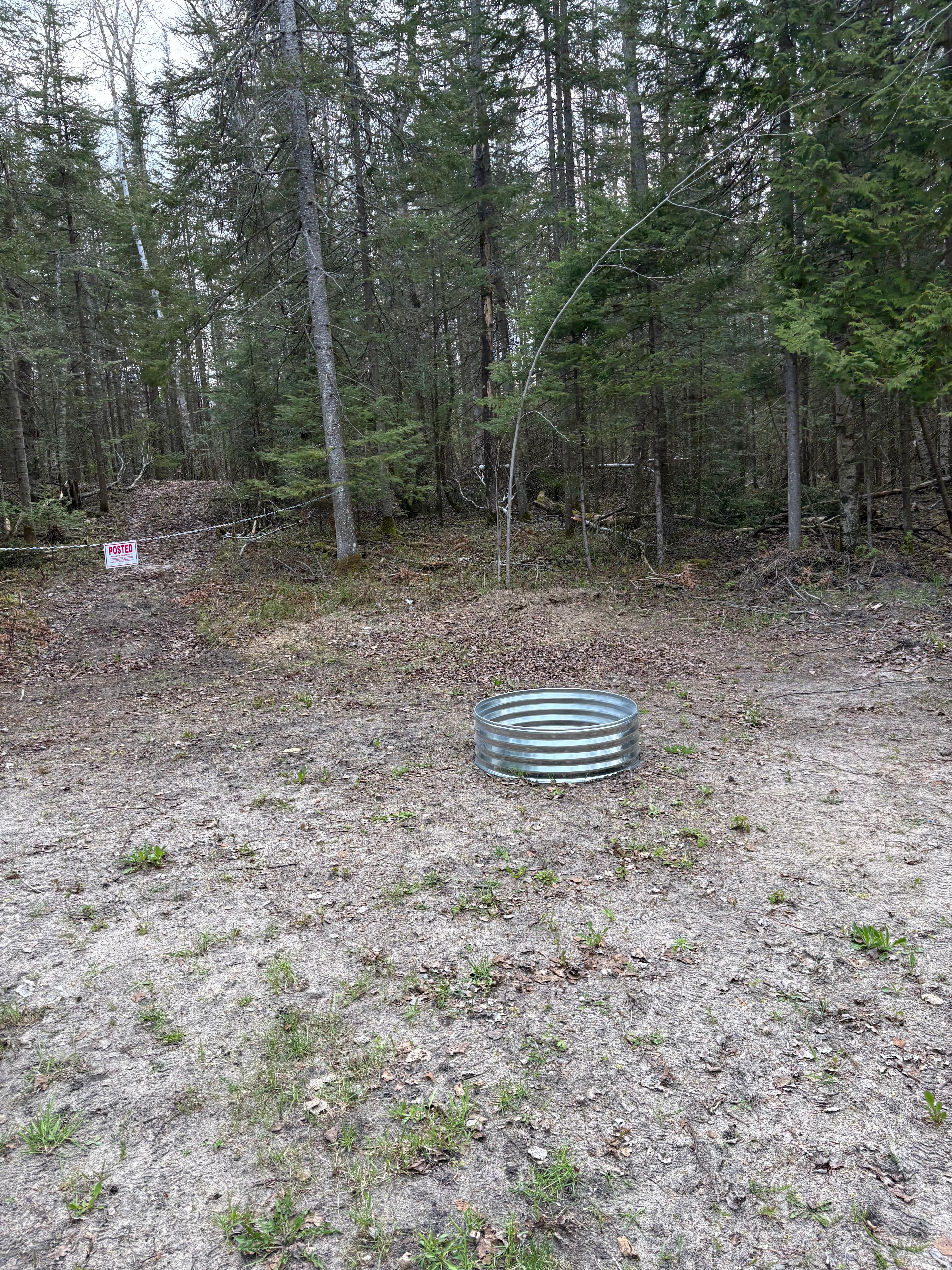 Yoder Woods