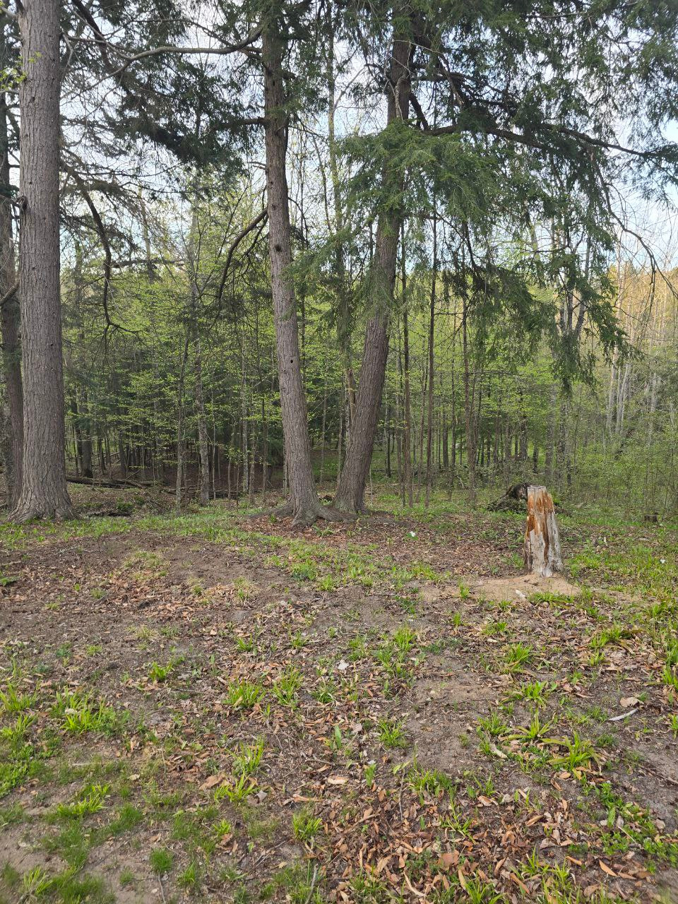 Secluded River Ridge Campsite