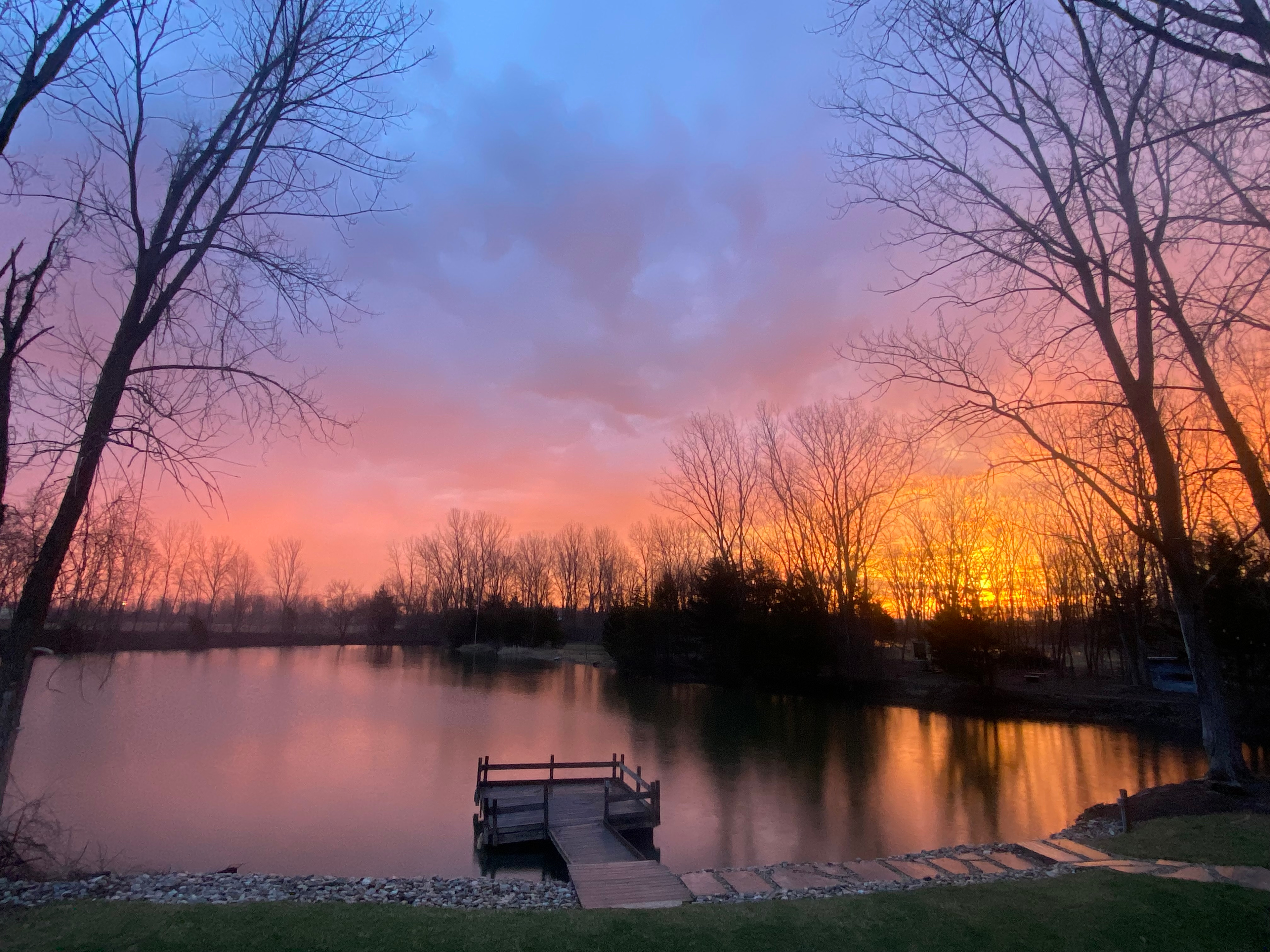 Cattail Springs