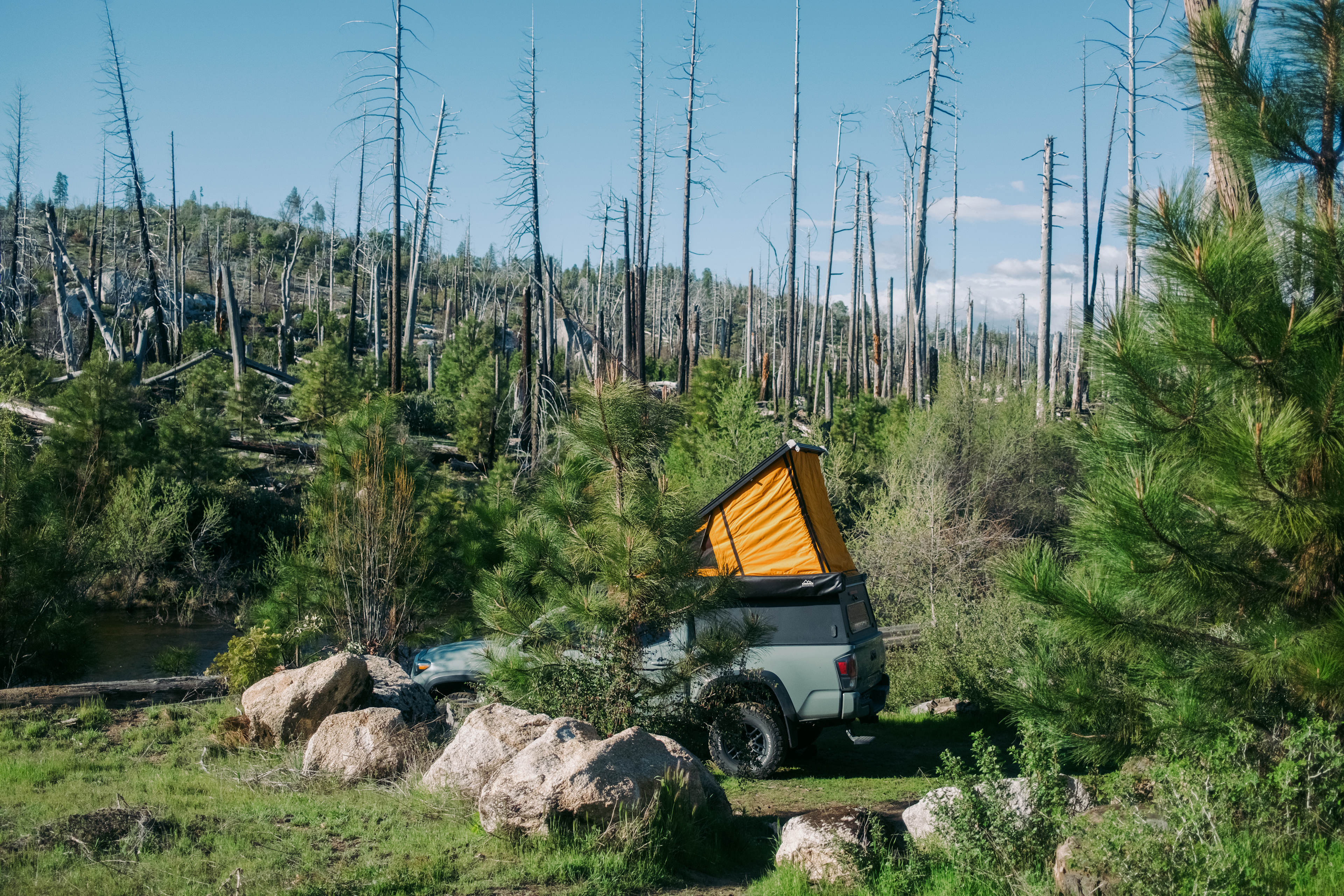 Camping on the Middle Fork of the Tuolumne River