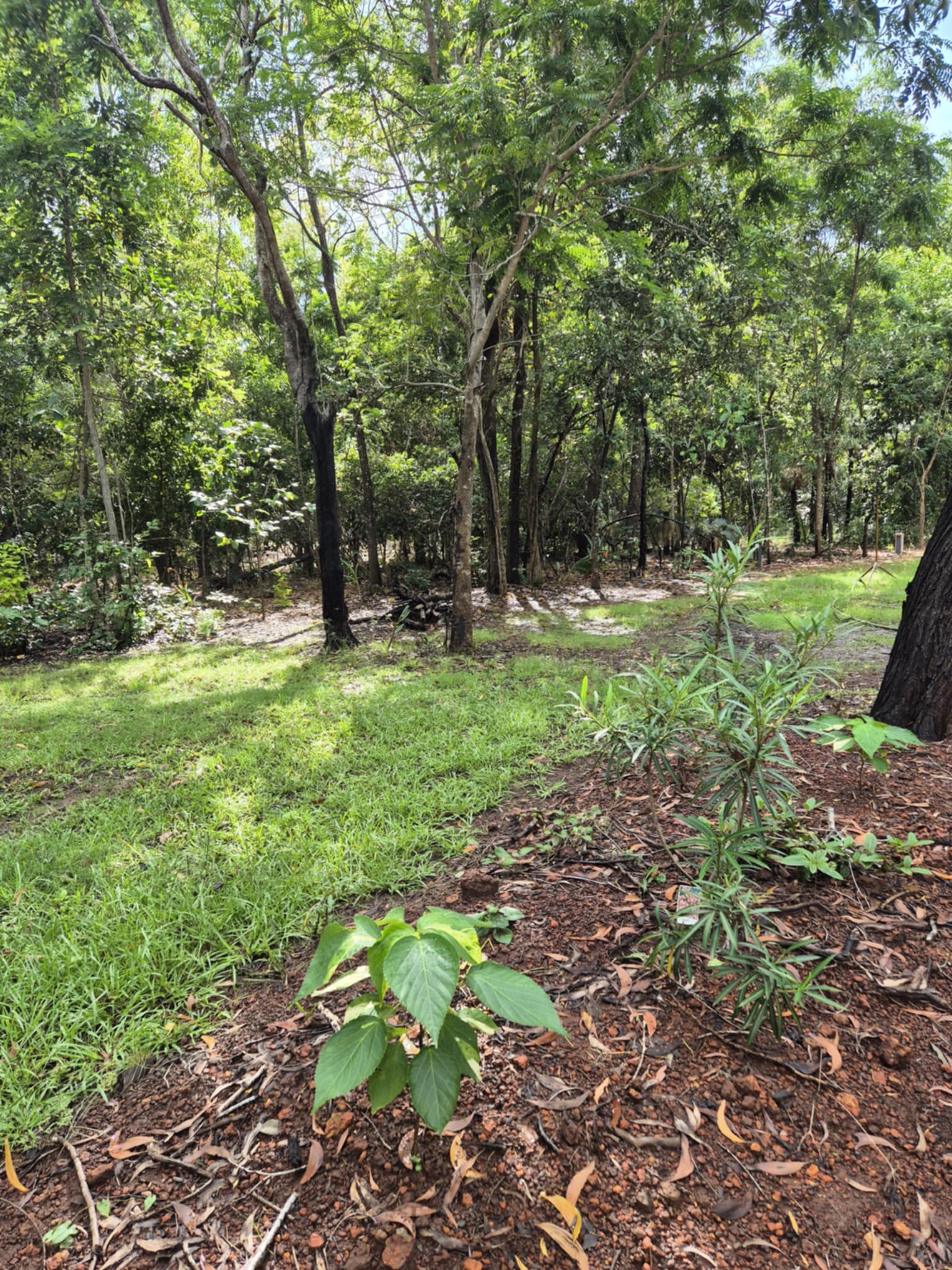 Middle Camp & Stay - Dundee