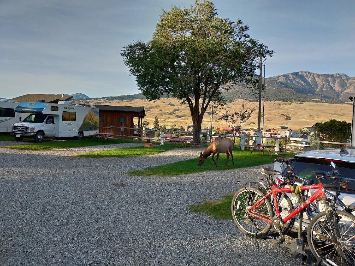 Sun Outdoors Yellowstone North
