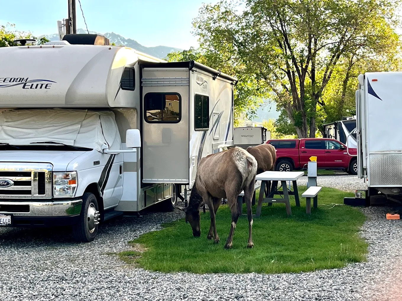 Sun Outdoors Yellowstone North