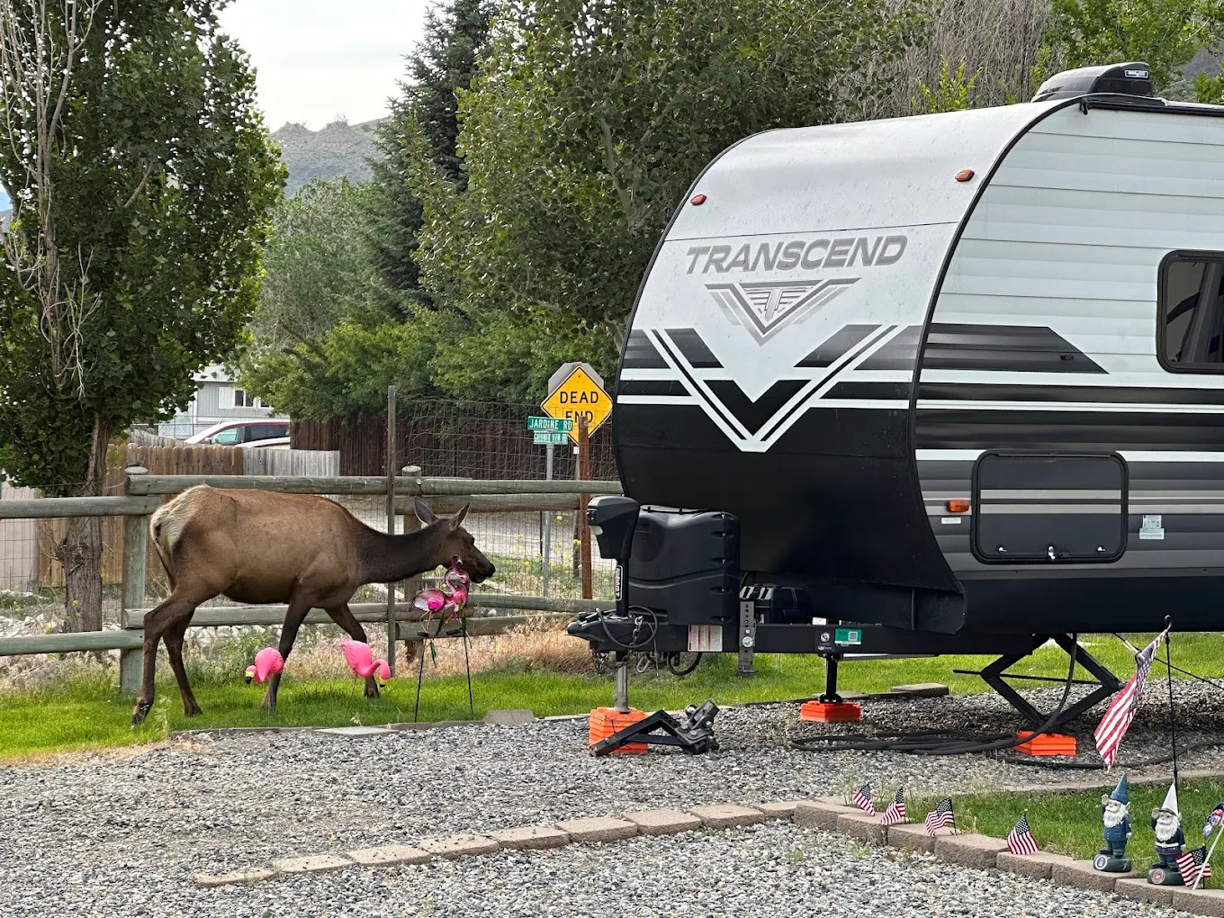 Sun Outdoors Yellowstone North