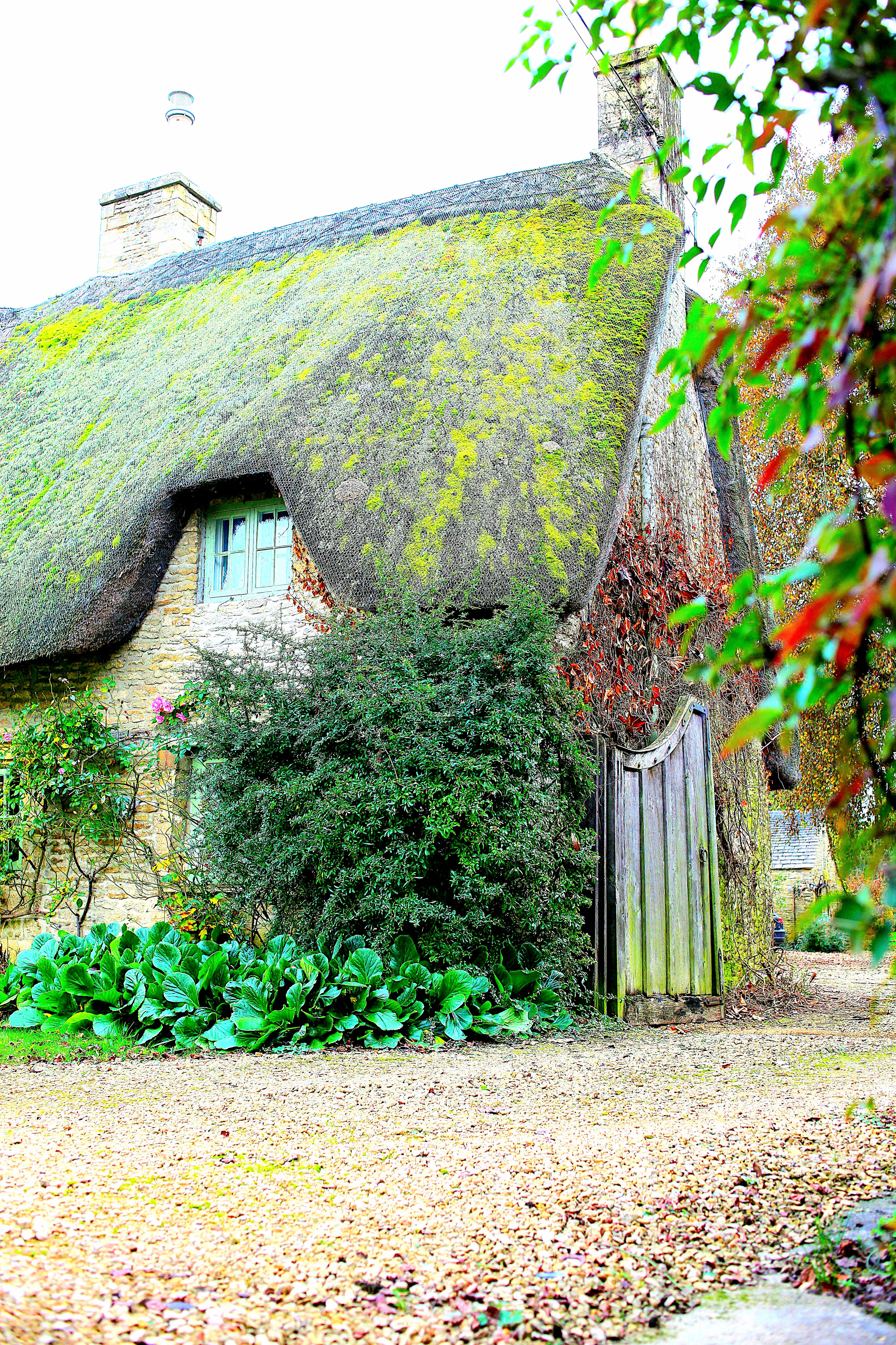 Willow Farm