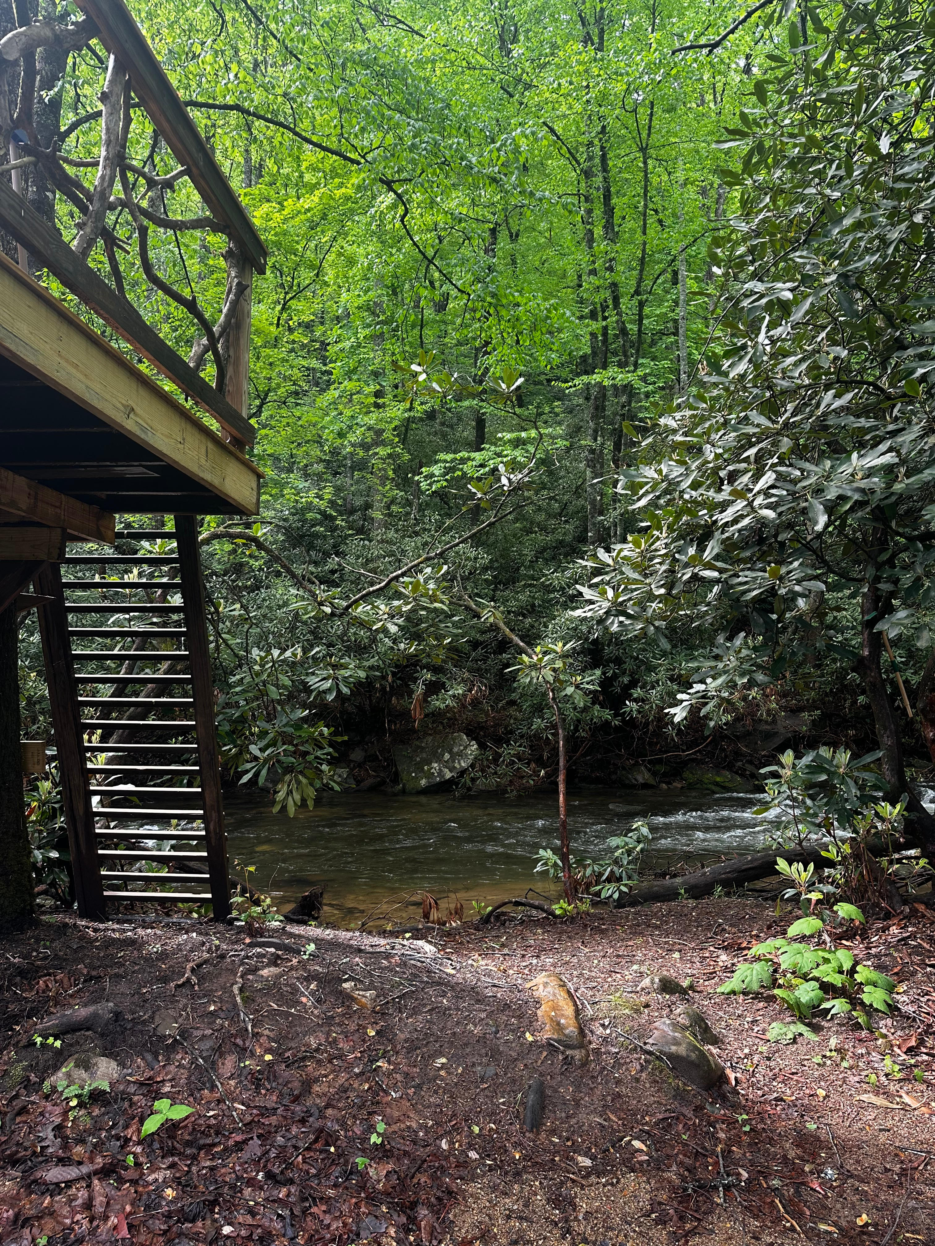 Biker’s Dream On N. Mills River