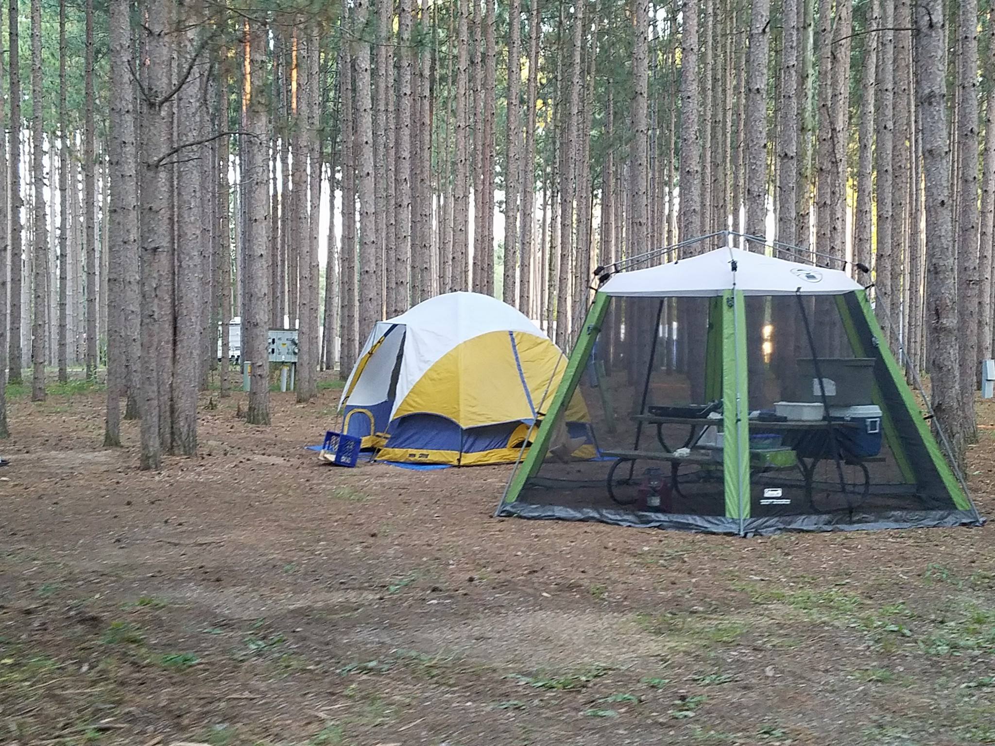 Buckhorn Campground & Resort