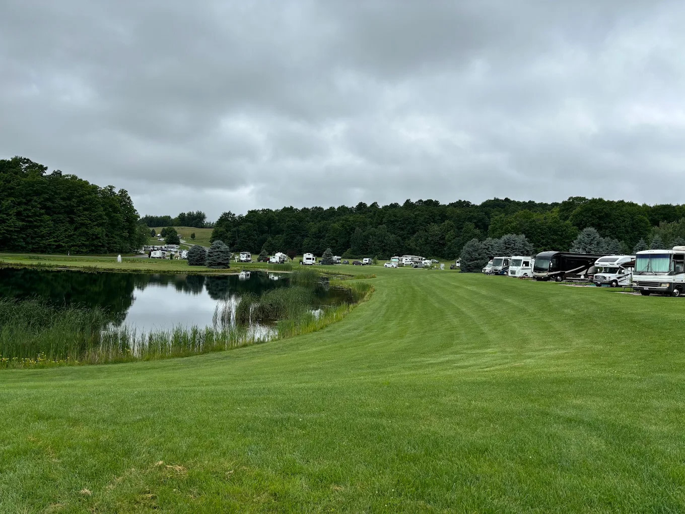 Wild Cherry Resort