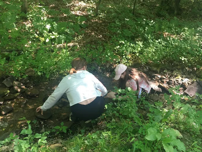 Posey Corners Campground