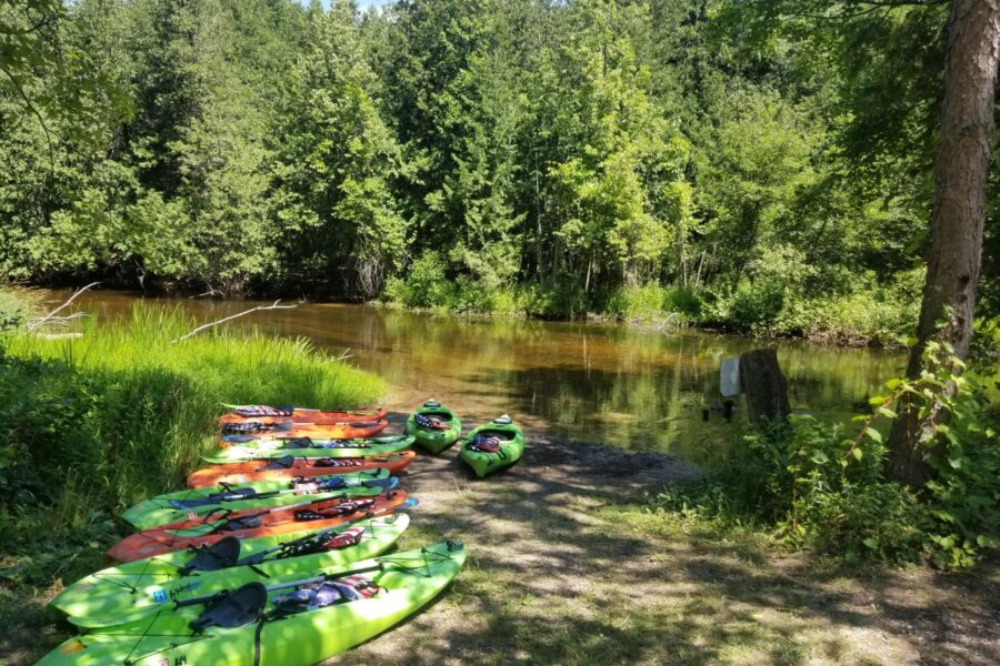 Betsie River Canoes and Campground