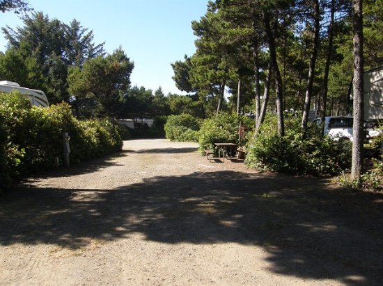 Heceta Beach RV Park