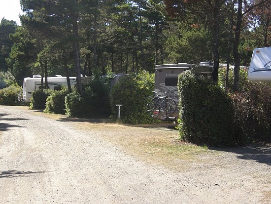 Heceta Beach RV Park