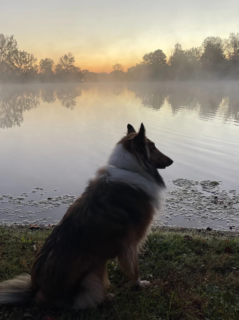 Berkshire Lake Campground