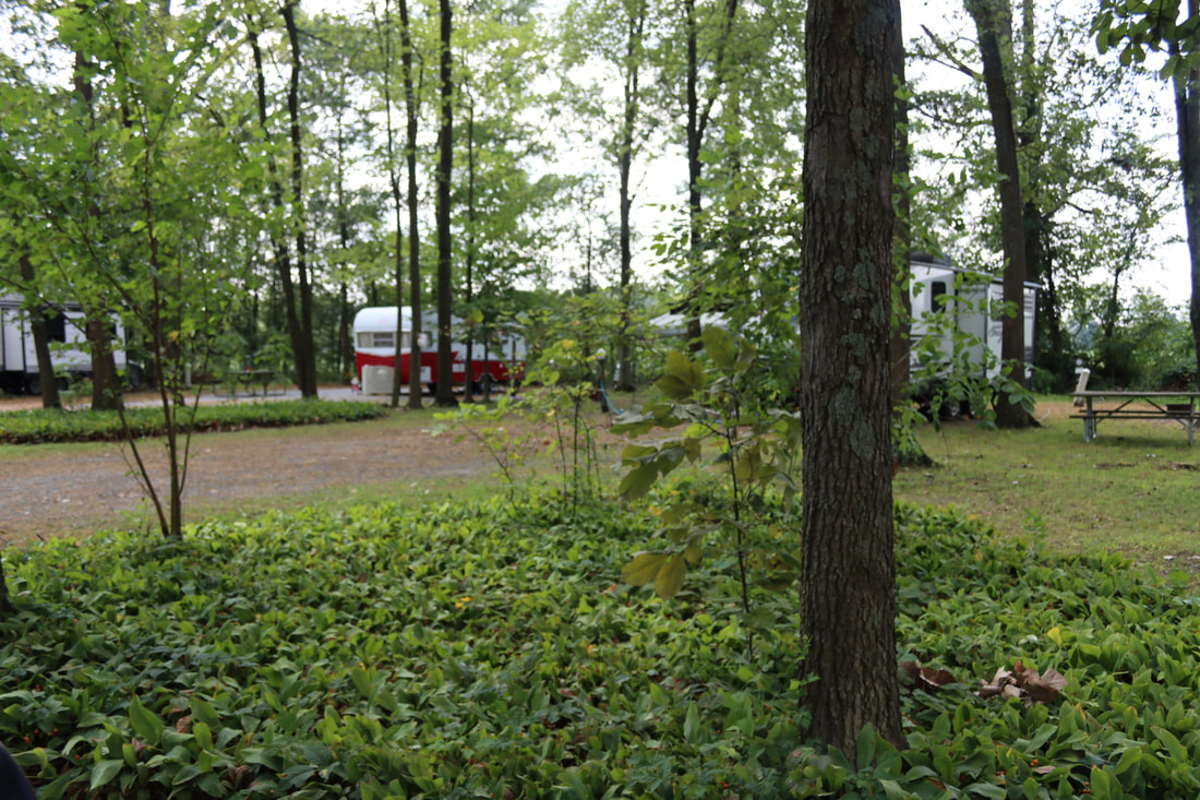 Tree Haven Camp Grounds Inc
