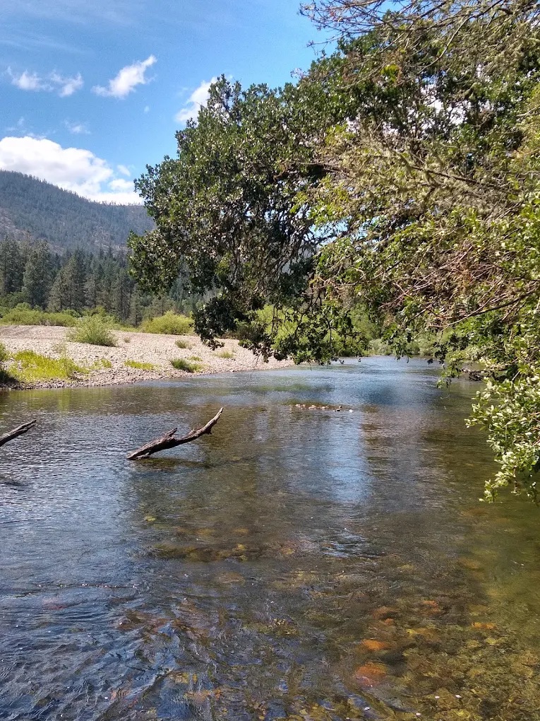 Laughing Alpaca Campground