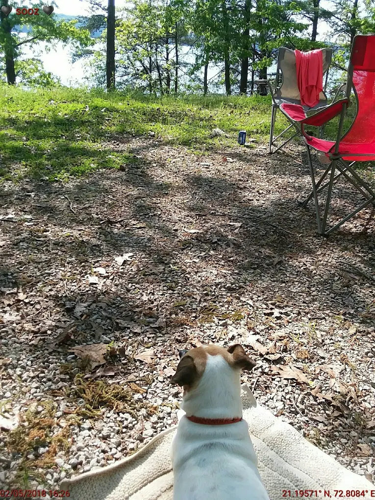 Colbert County Rose Trail Park